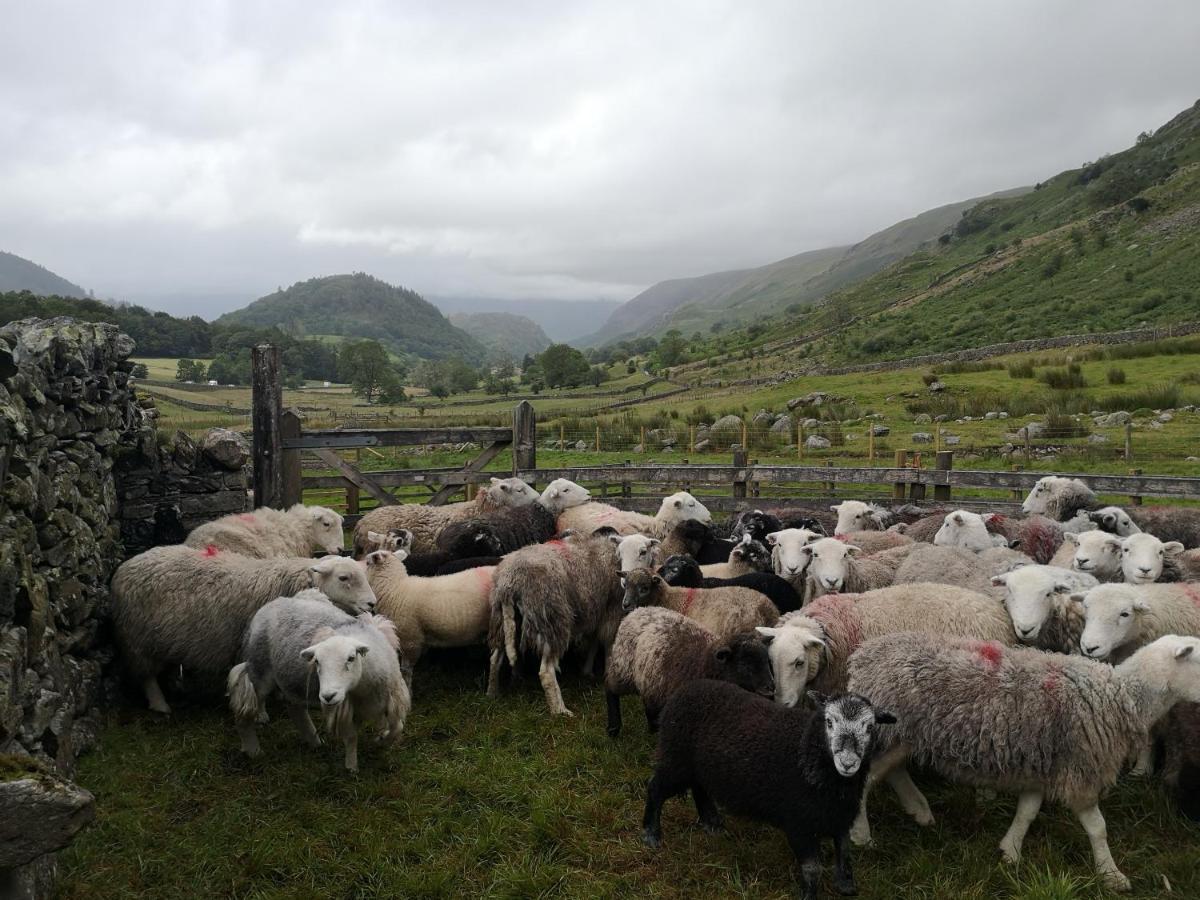 Stybeck Farm Vila Thirlmere Exterior foto